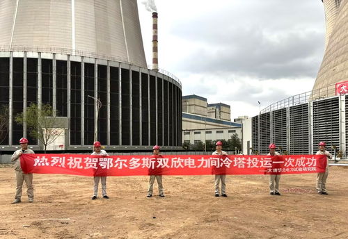大唐華北電力試驗研究院負責調試的鄂爾多斯雙欣電力2號機組間冷塔節(jié)水及節(jié)能工程順利收官